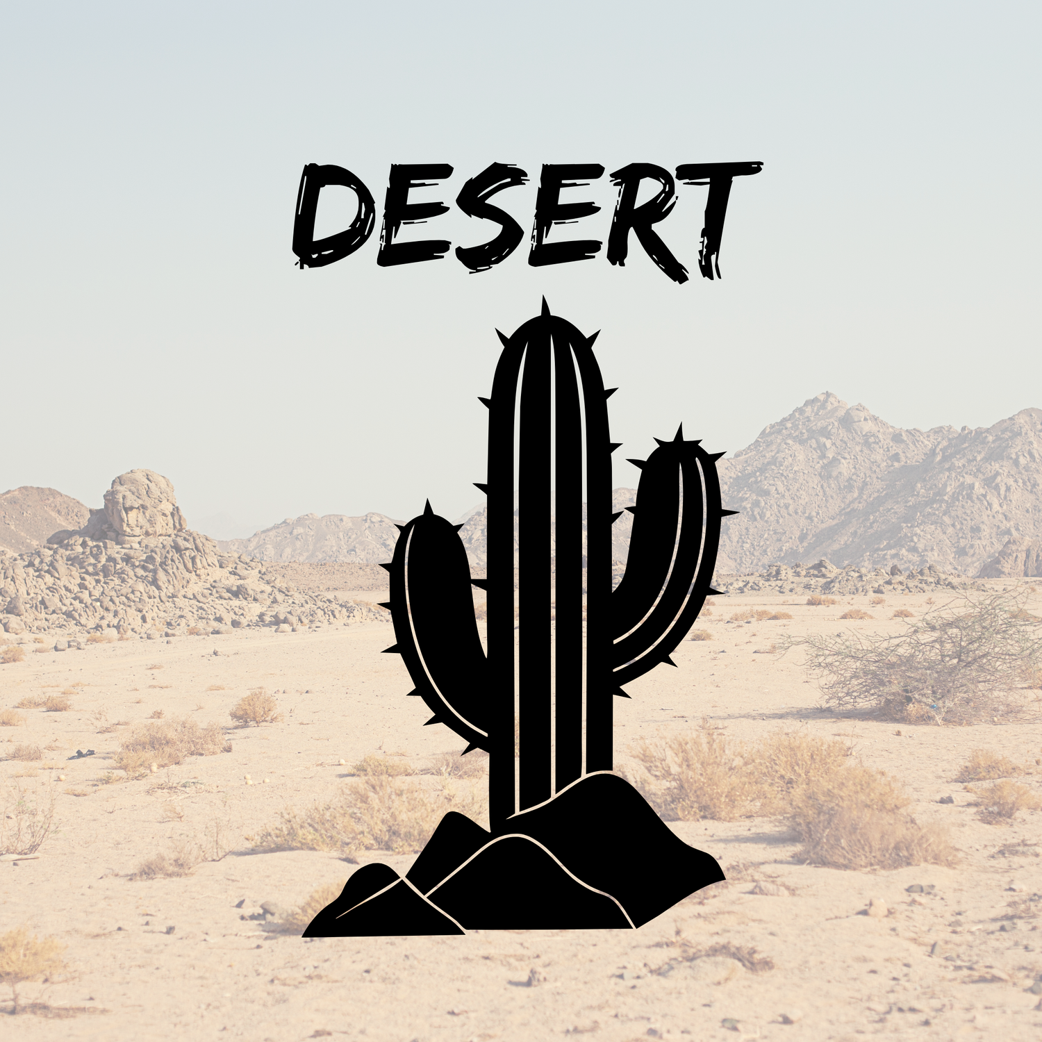 Desert