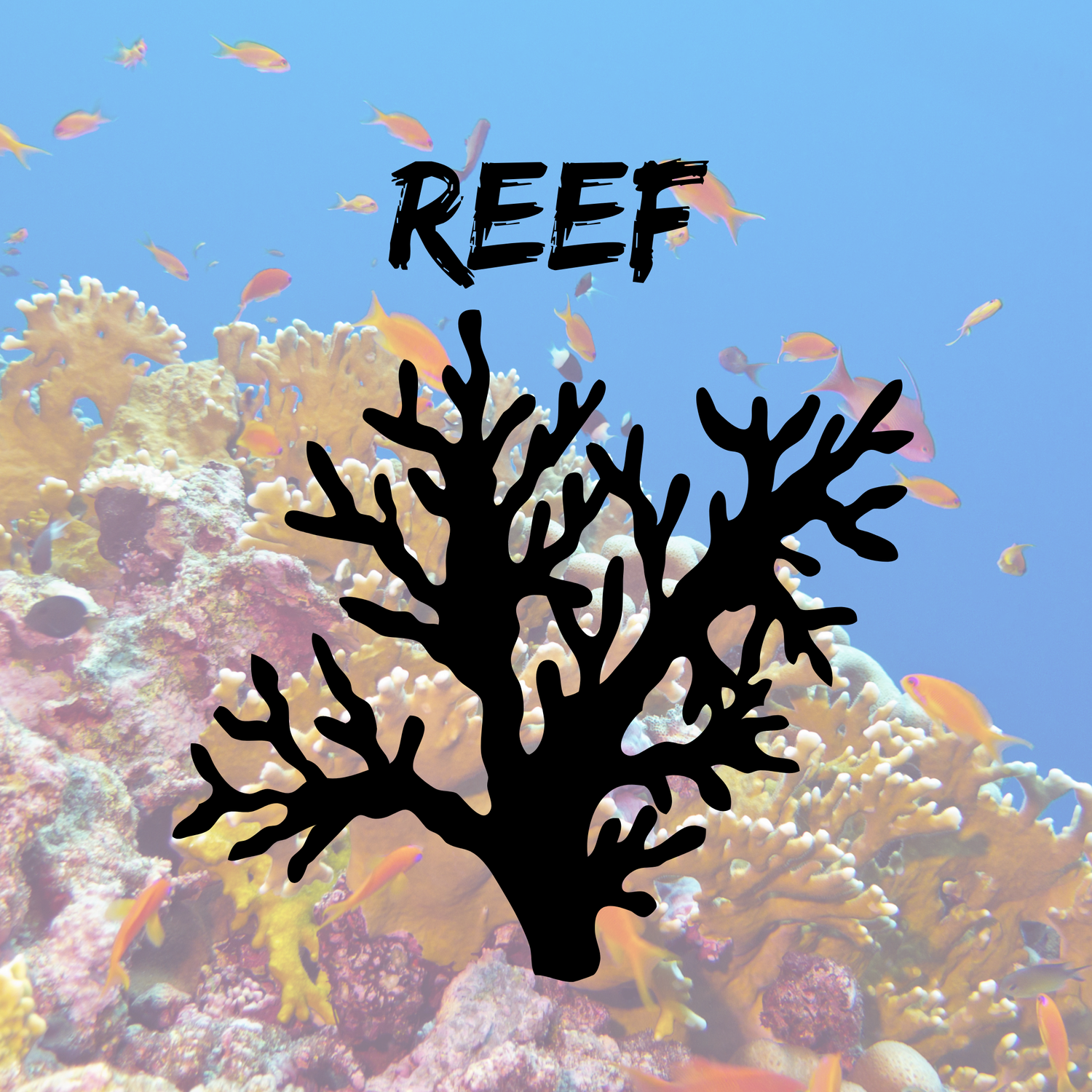 Reefs