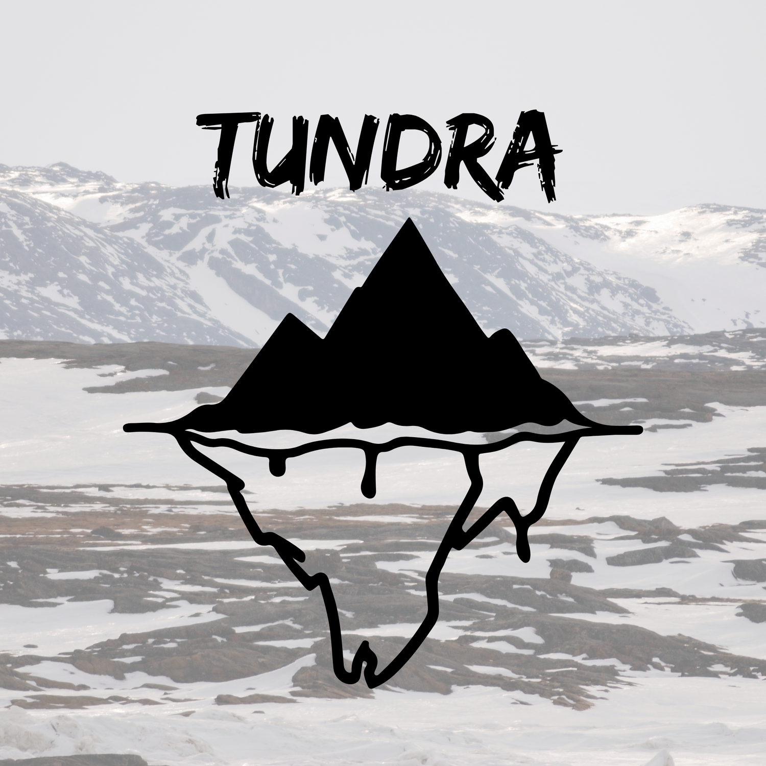 Tundra