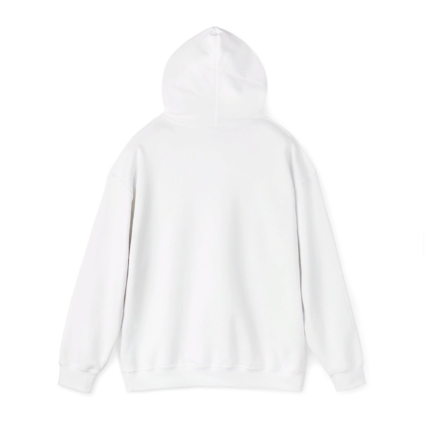 Where'd all the Ice go? Polar Bear Hoodie