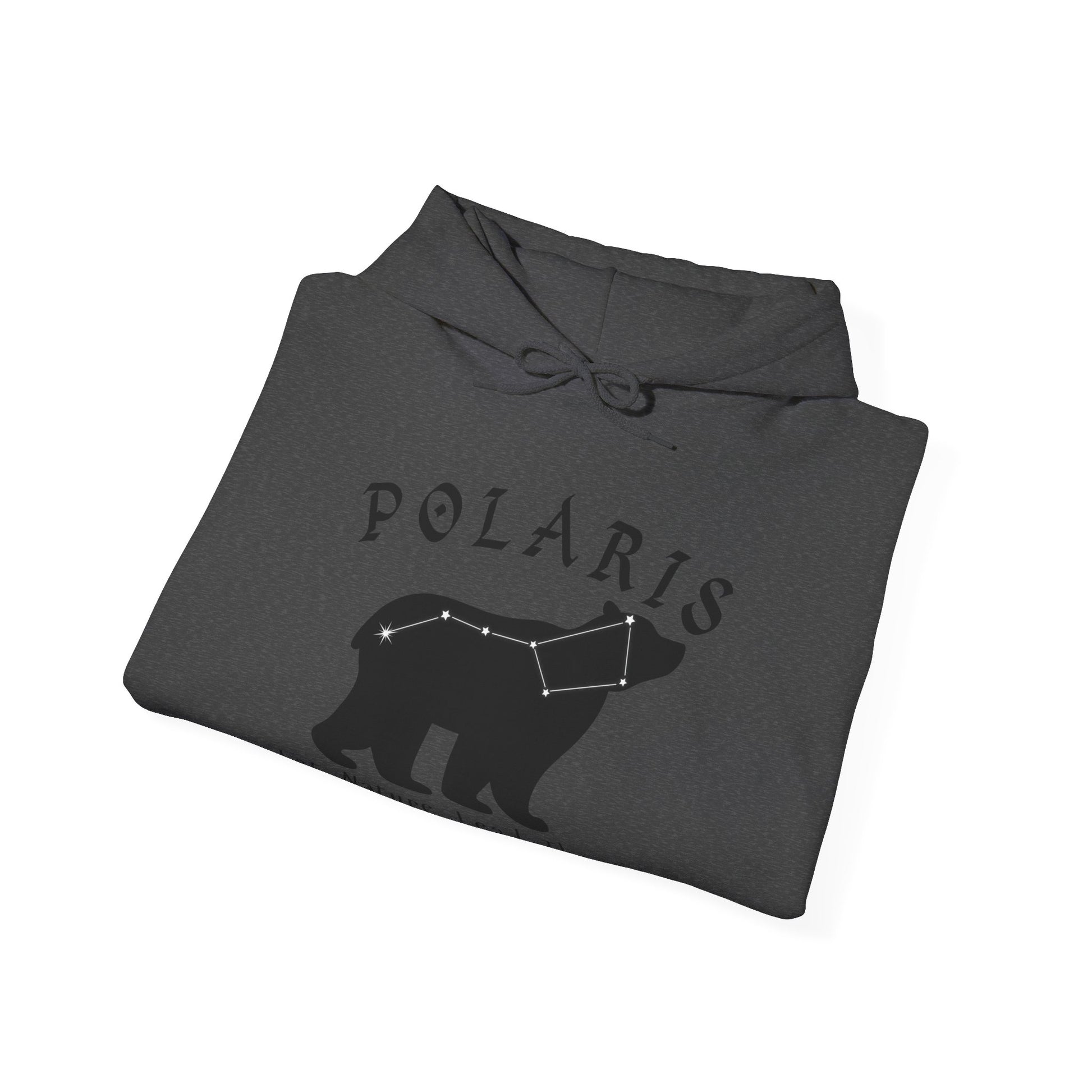 Polaris North Star Hoodie - WILD